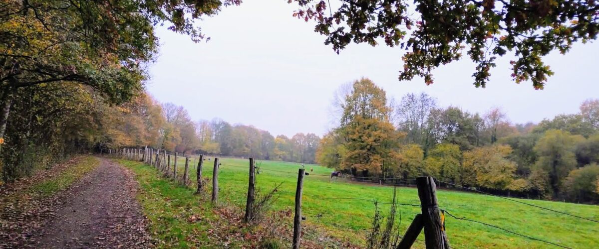 FB_IMG_17629669164623