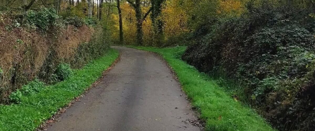 FB_IMG_17629669240262