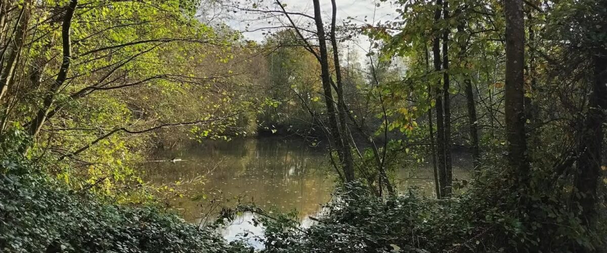 FB_IMG_1762966937013