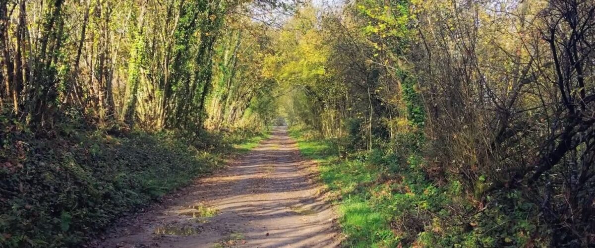 FB_IMG_17629669442022