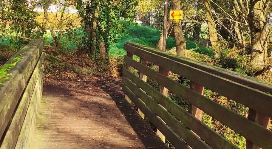 FB_IMG_1762967014603