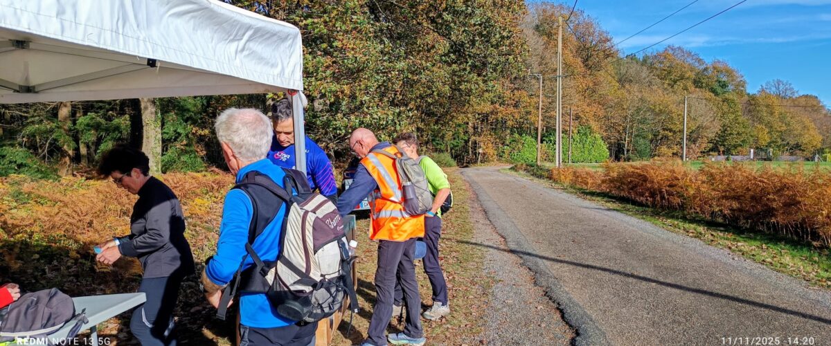 IMG_20251111_1420072