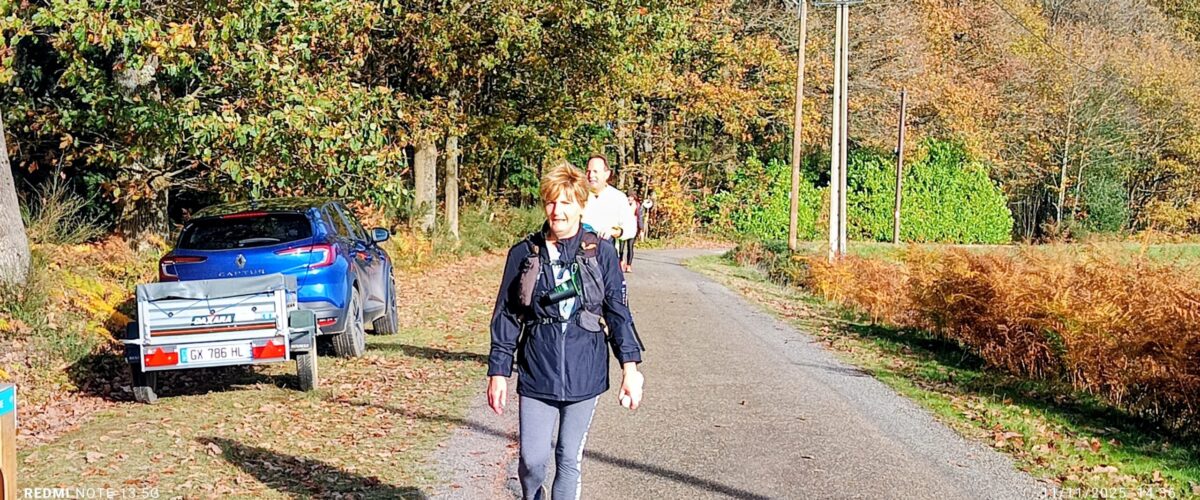 IMG_20251111_1436562