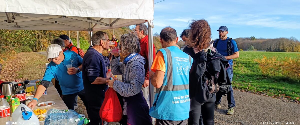 IMG_20251111_1448492