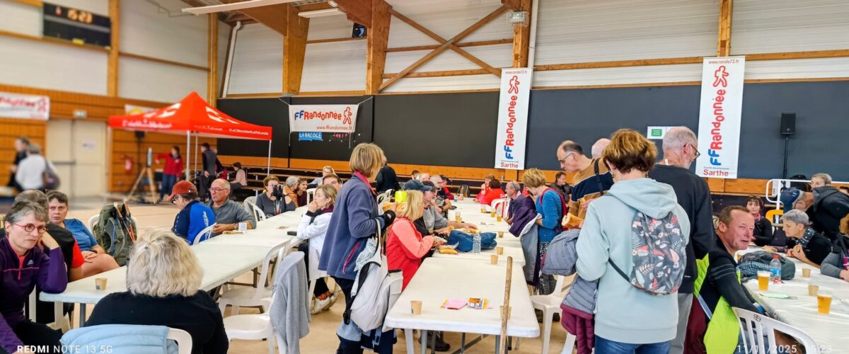 IMG_20251111_1523312