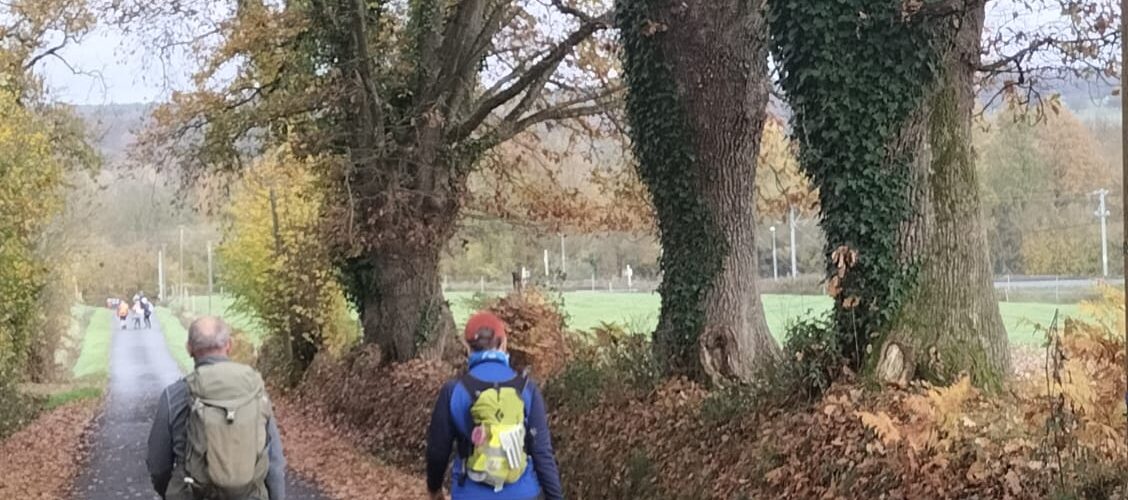 WhatsApp-Image-2025-11-11-a-11