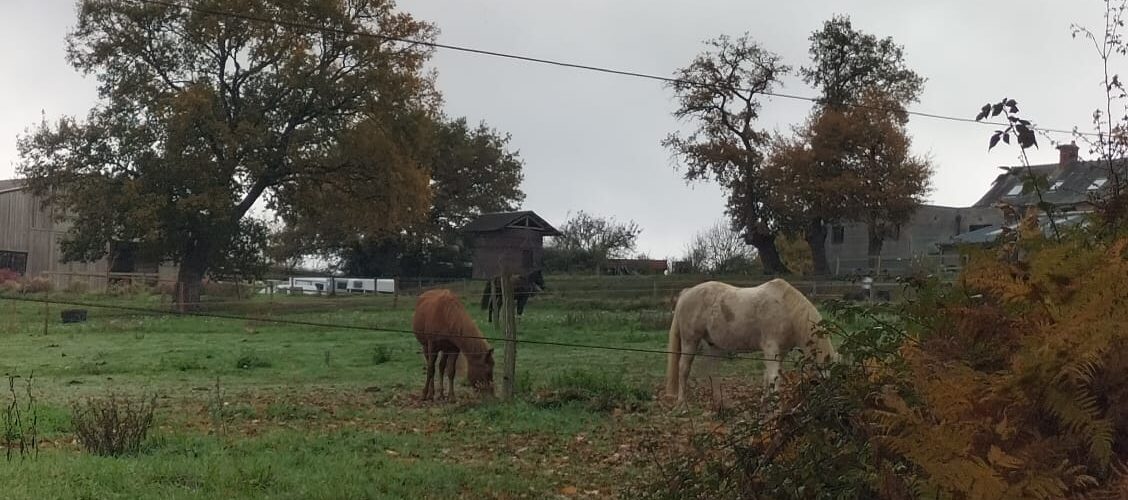 WhatsApp-Image-2025-11-11-a-11