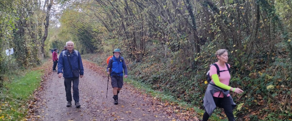 WhatsApp-Image-2025-11-11-a-11