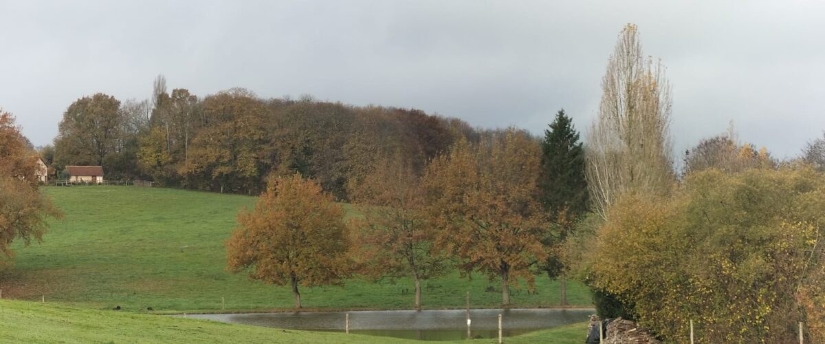 WhatsApp-Image-2025-11-11-a-11