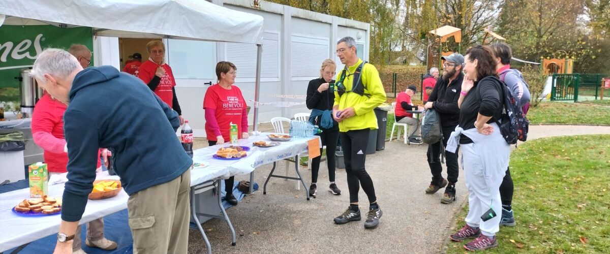 WhatsApp-Image-2025-11-11-a-11