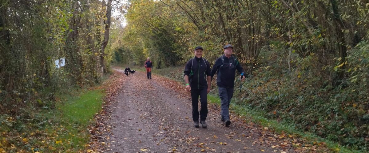 WhatsApp-Image-2025-11-11-a-11