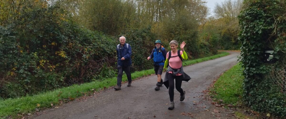 WhatsApp-Image-2025-11-11-a-11