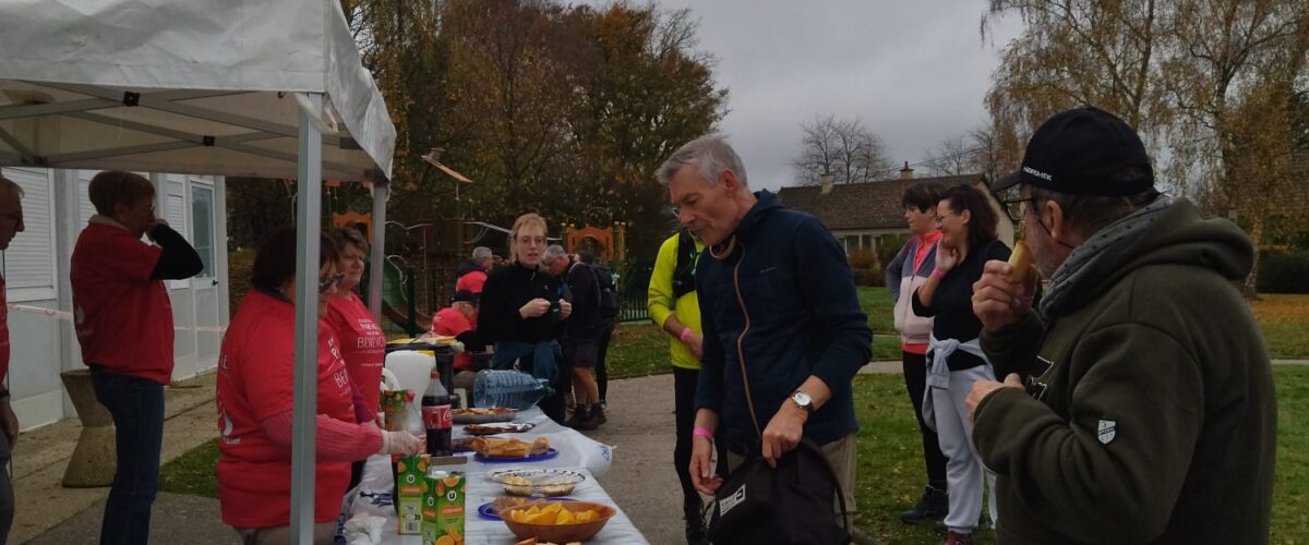 WhatsApp-Image-2025-11-11-a-11