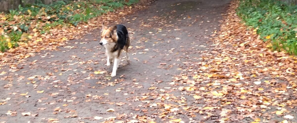 WhatsApp-Image-2025-11-11-a-11