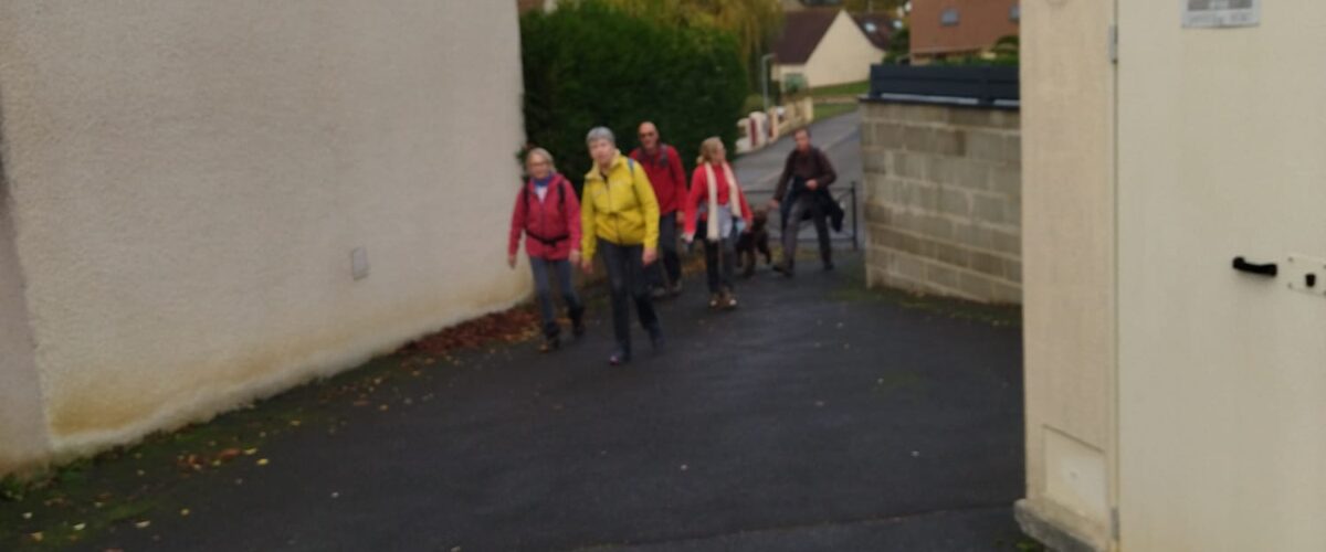 WhatsApp-Image-2025-11-11-a-11