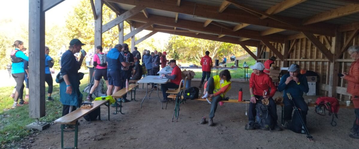 WhatsApp-Image-2025-11-11-a-11