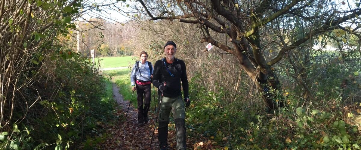 WhatsApp-Image-2025-11-11-a-12