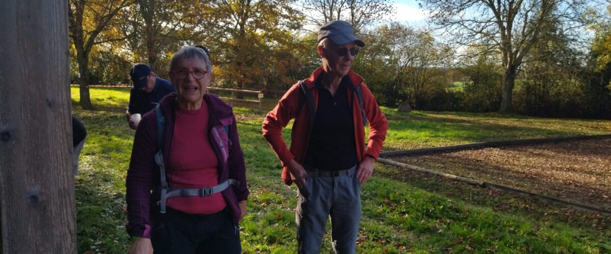 WhatsApp-Image-2025-11-11-a-12