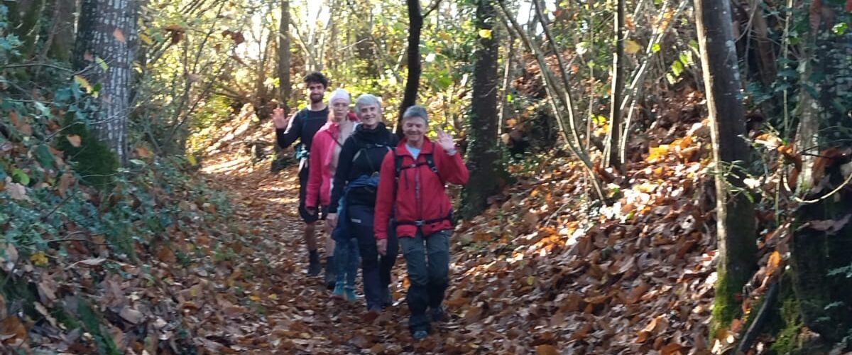 WhatsApp-Image-2025-11-11-a-12