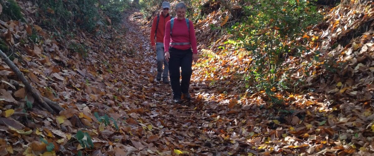 WhatsApp-Image-2025-11-11-a-12