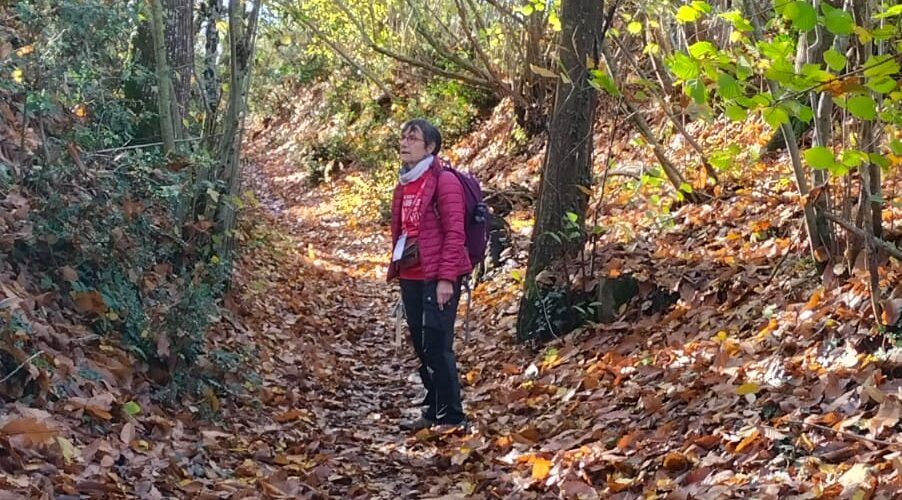 WhatsApp-Image-2025-11-11-a-12