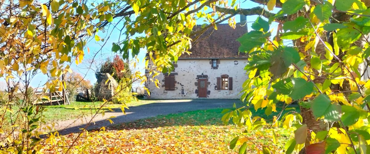 WhatsApp-Image-2025-11-11-a-12