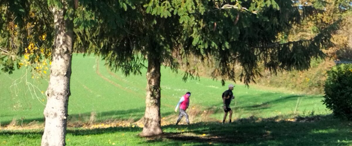 WhatsApp-Image-2025-11-11-a-12