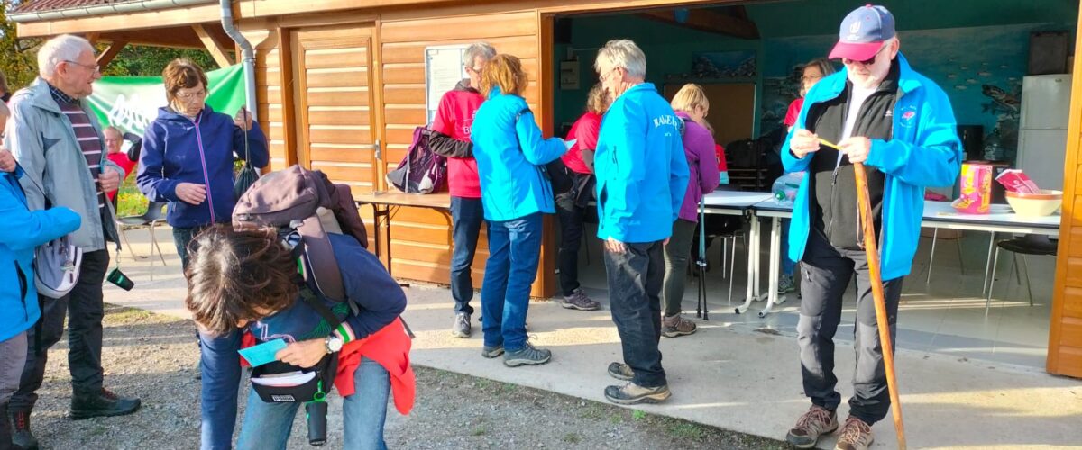 WhatsApp-Image-2025-11-11-a-15