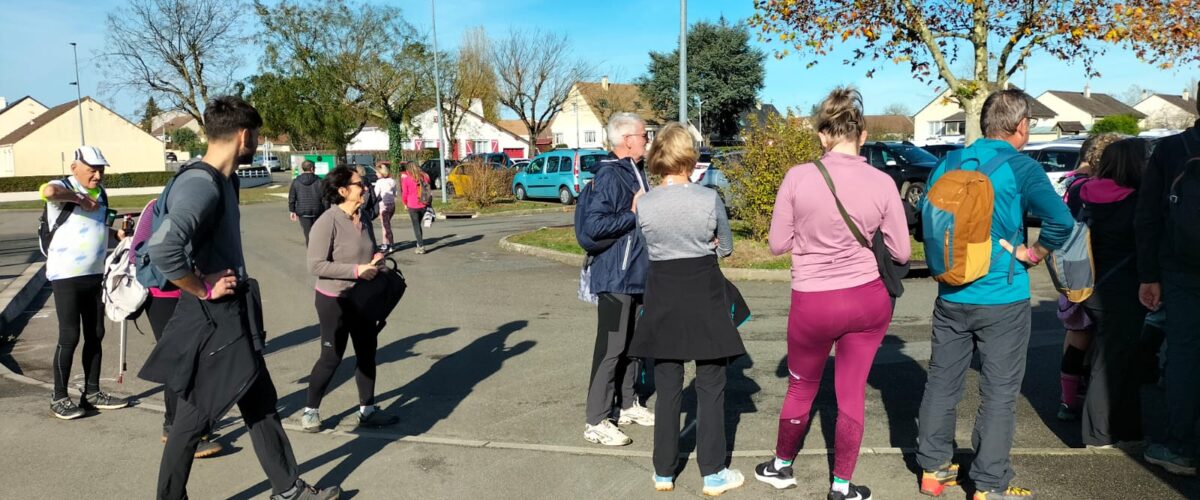 WhatsApp-Image-2025-11-11-a-15